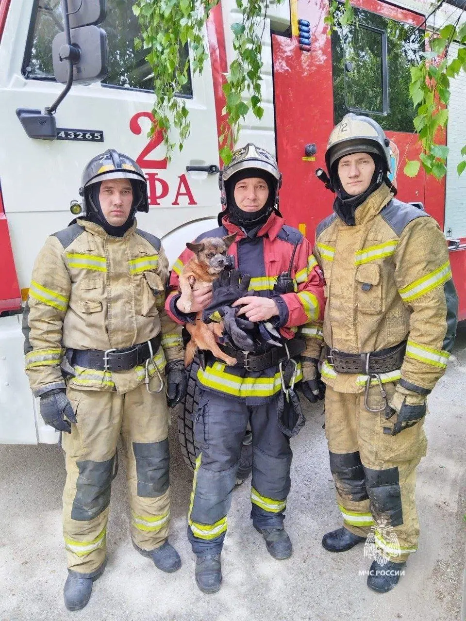 В Уфе из пожара спасли собаку, которая хотела остаться охранять квартиру